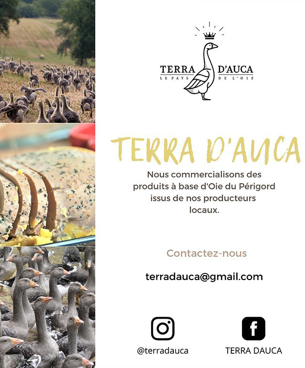 terra_dauca